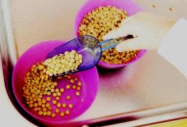 12923118_1747950135424202_6480211572796813639_n