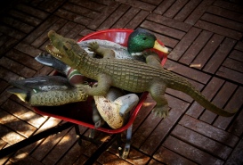 Serpil'in Dünyası Kreş