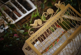 Serpil'in Dünyası Kreş